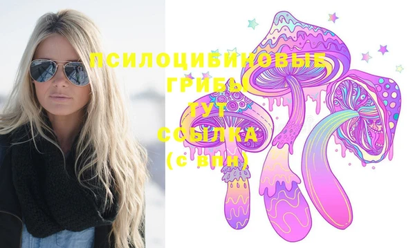мдпв Кинешма